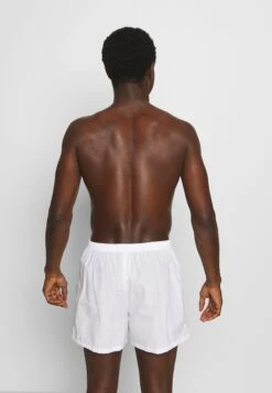 Pier One 5 Pack - Boxershort - Light Blue/White -Herenmode 687ef1808b144438a634b5f088762ab1