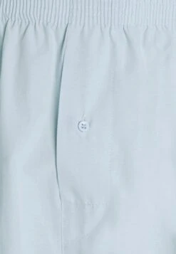 Pier One 5 Pack - Boxershort - Light Blue/White -Herenmode 8d526a81d413439291c57bcecfa7d443